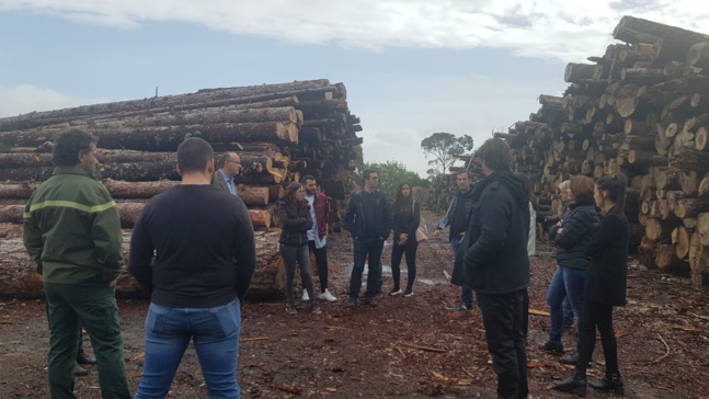 Club Climat: réunion sur la filière Bois-Energie Club Climat: réunion sur la filière Bois-Energie