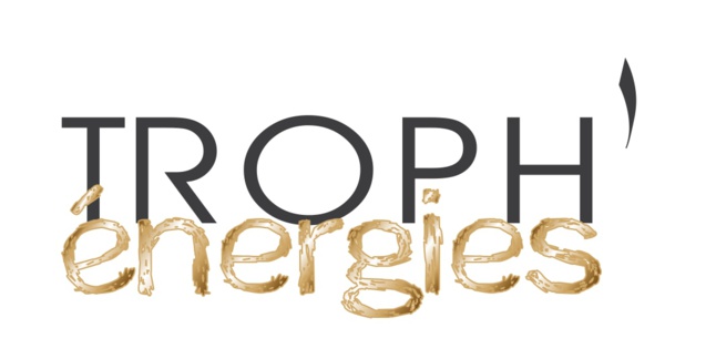 TROPH'énergies 2020 : Votre retour d'expérience (questionnaire participants) TROPH'énergies 2020 : Votre retour d'expérience (questionnaire participants)