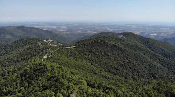 Elaboration du Plan de Paysage du Fium’Orbu-Castellu