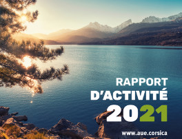 Le Rapport d'Activité de l'AUE est en ligne