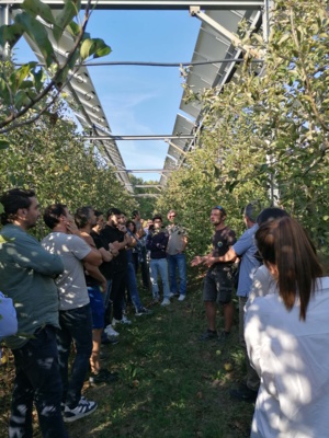 Station d'expérimentation d'agrivoltaïsme (Mallemort, 06/10/2022) Station d'expérimentation d'agrivoltaïsme (Mallemort, 06/10/2022)