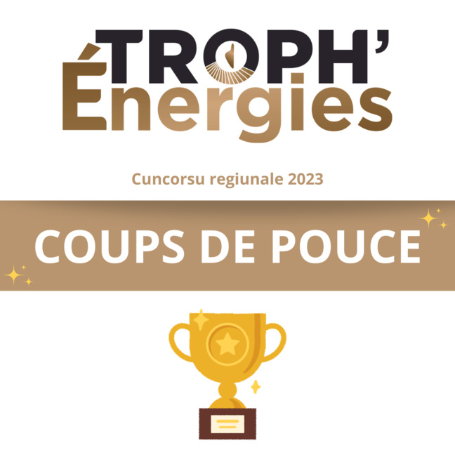 Lumière sur les lauréats de la catégorie « Coups de pouce » TROPH’énergies ! Lumière sur les lauréats de la catégorie « Coups de pouce » TROPH’énergies !