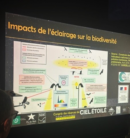 Présentation des impacts de l’éclairage sur la biodiversité lors d’un atelier du congrès.