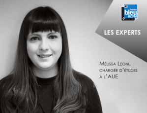 Les Experts : s'impliquer dans des projets d'énergies renouvelables et bénéficier des retombées économiques Les Experts : s'impliquer dans des projets d'énergies renouvelables et bénéficier des retombées économiques