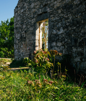 "Le club urba" dans le vif des sujets "Le club urba" dans le vif des sujets
