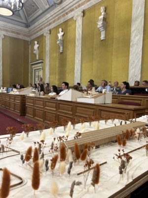 Dix sept projets de développement imaginés pour Marana Golu Dix sept projets de développement imaginés pour Marana Golu