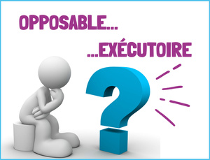 Documents d'urbanisme : quelle est la différence entre exécutoire et opposable ? Documents d'urbanisme : quelle est la différence entre exécutoire et opposable ?