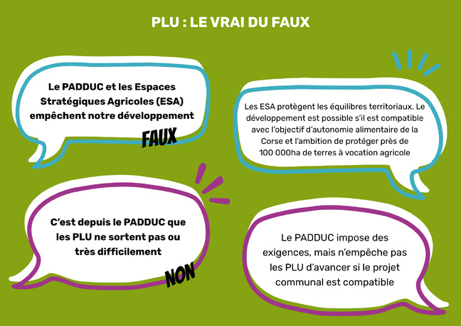 Plan Local d'Urbanisme : vrai ou faux ? Plan Local d'Urbanisme : vrai ou faux ?