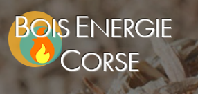 Zoom sur le site internet du Bois Energie en Corse