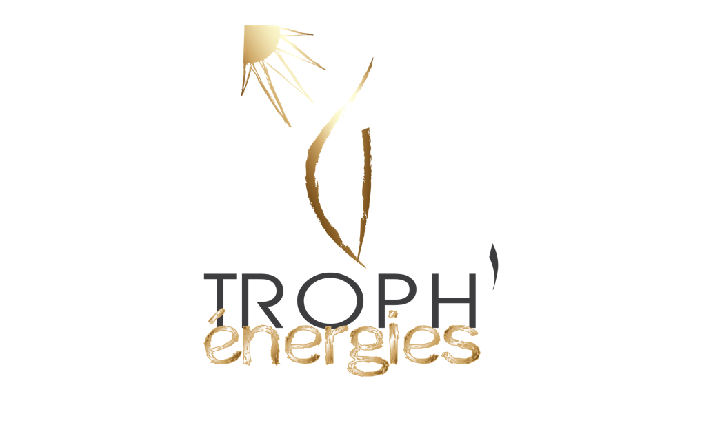 Concours TROPH'énergies: votez pour votre projet préféré!