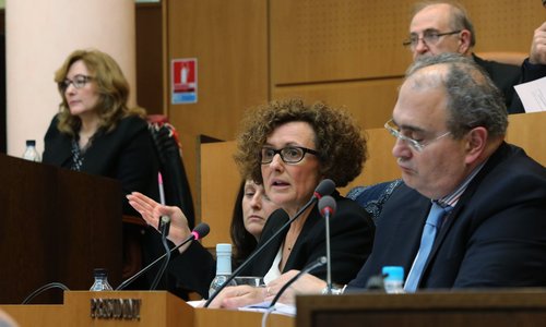 Corse Matin : L'assemblée de Corse a adopté le volet II du Padduc avec 36 voix