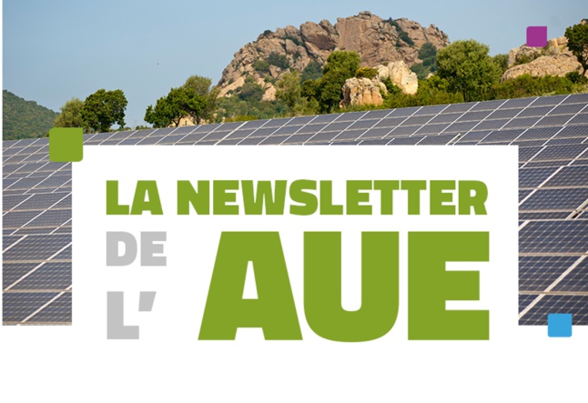 Téléchargez les archives de notre Newsletter !