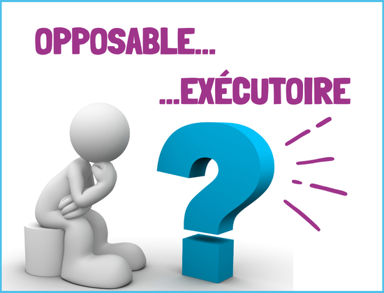 Documents d'urbanisme : quelle est la différence entre exécutoire et opposable ?