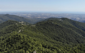 Elaboration du Plan de Paysage du Fium’Orbu-Castellu