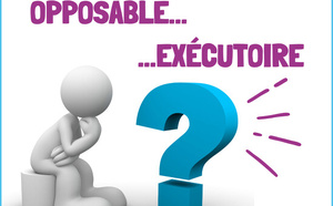 Documents d'urbanisme : quelle est la différence entre exécutoire et opposable ?