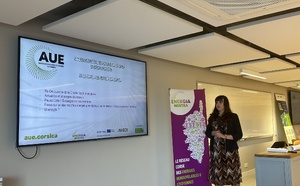 Energie renouvelable : la dynamique se renforce autour des projets citoyens