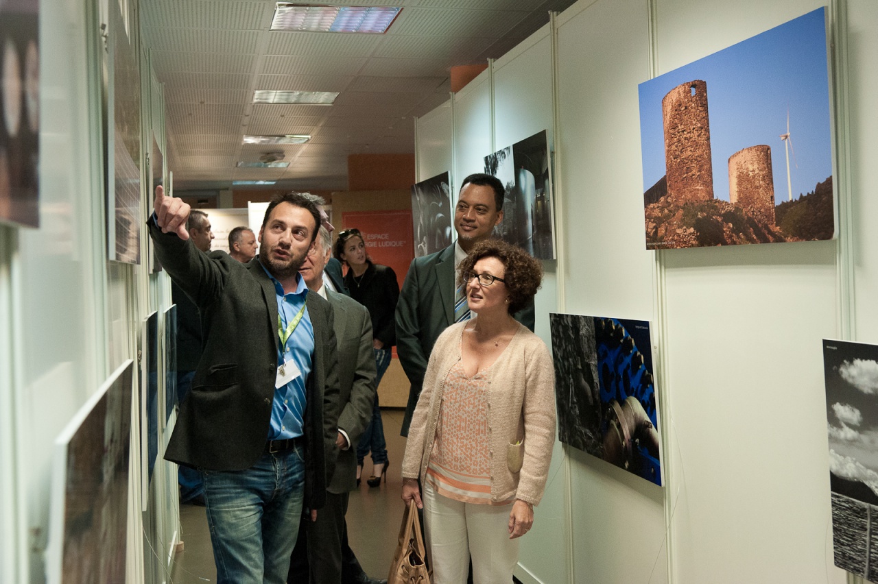 SEI2013-0110