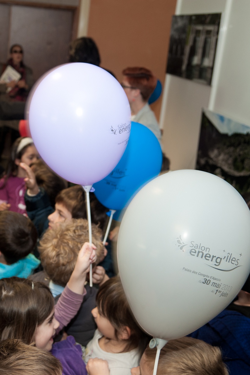 SEI2013-0390